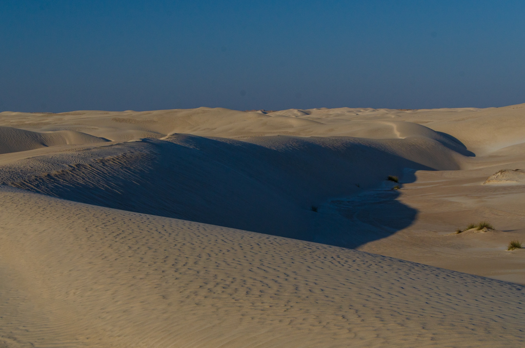 Al Khaluf - White Desert .JPG